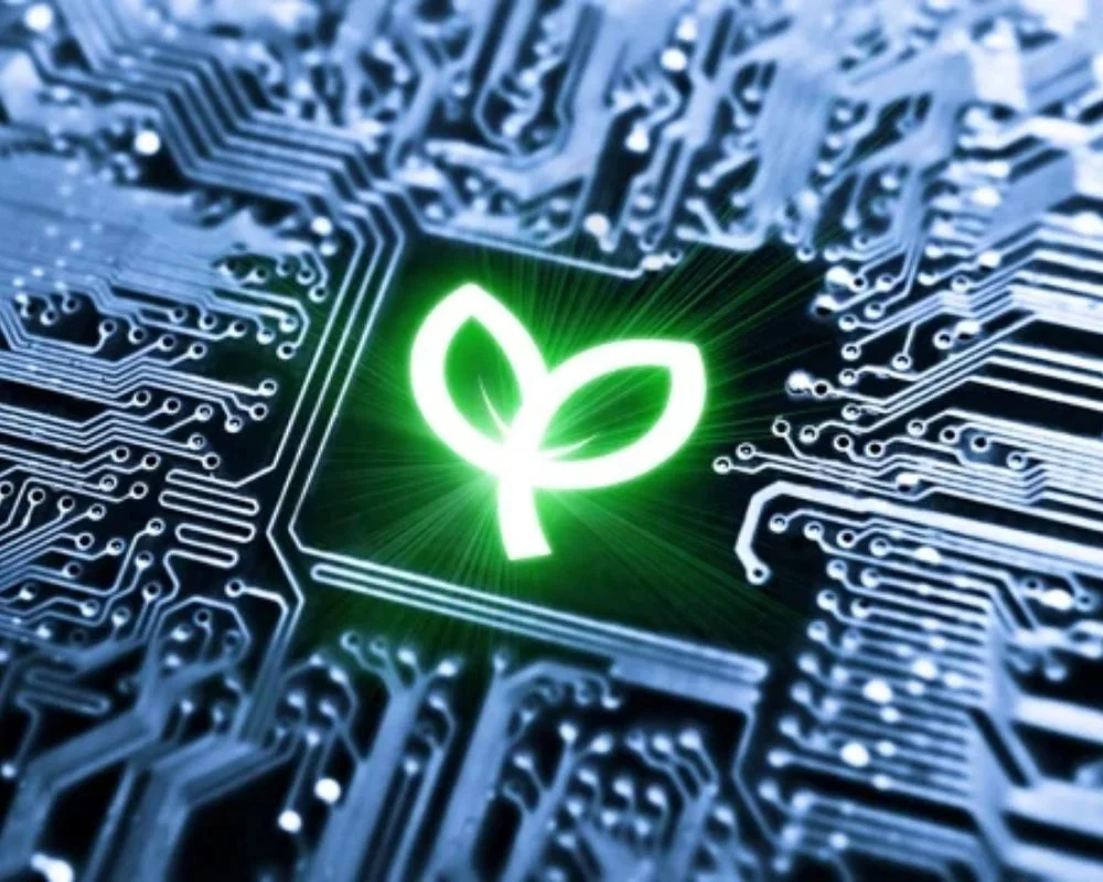 green-coderslab