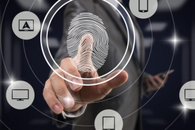 seeguridad-no-humana-coderslab